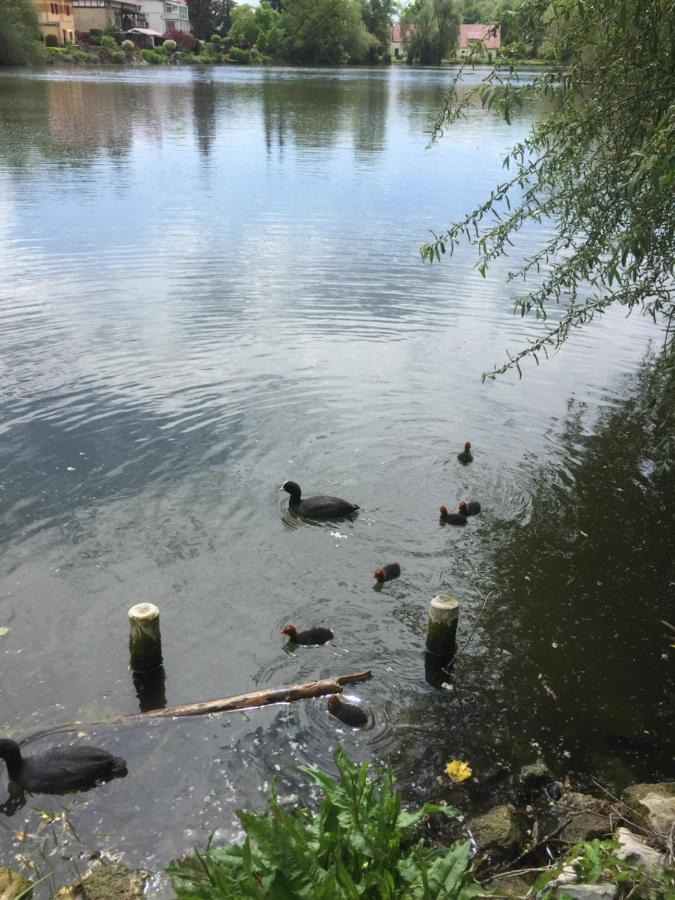 Familienfreundliche Ferienwohnung Am See Sömmerda Exterior foto